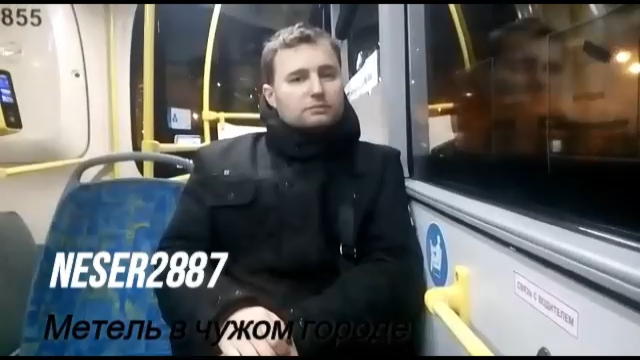 Neser2887-Метель в чужом городе(кавер Ласковыймай)