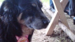 Это очень печально