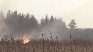 Мальчишки уходили на войну...