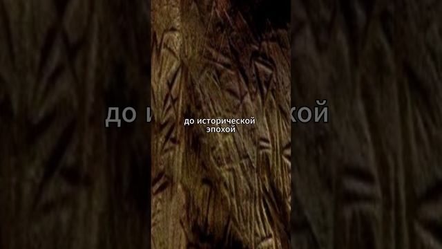 Гора Данигала. Гора пришельцев. Древний космодром Шри-Ланки.таинственные петроглифы.