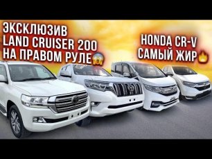 🔥Land Cruiser 200💪🏻 , Honda CR-V 2019 год, Prado и StepWNG SPADA Cool spirit👨_👩_👦_👦