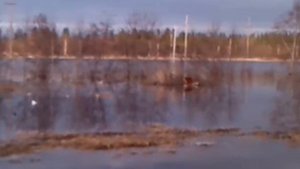 Наводнеие в поселке Ува