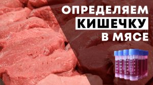 Как проверить твердые продукты на наличие кишечной палочки. "Петритест" смыв на колиформы.