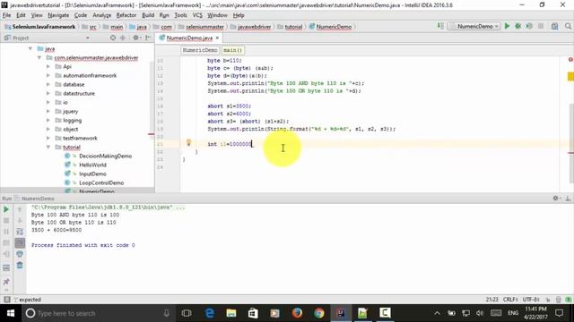 Selenium Java Webdriver -  Java Primitive Data Type