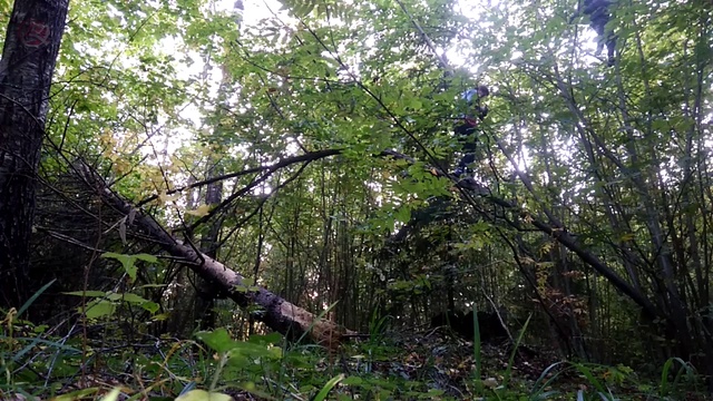 лаз орешник смотреть онлайн