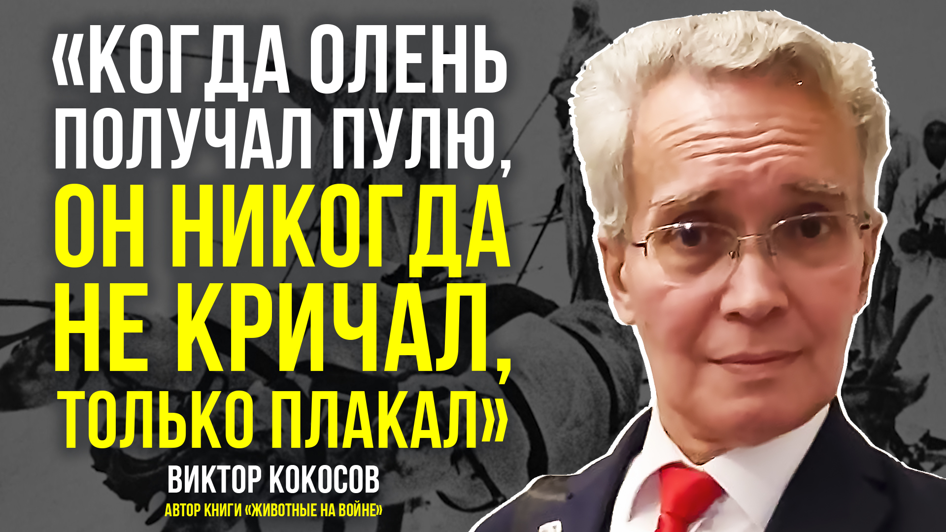 Виктор Кокосов в своей книге рассказал, как хвостатые и крылатые вместе с людьми добывали Победу