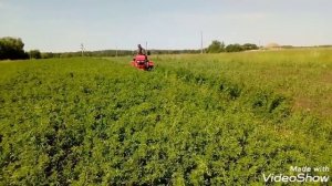 Мототрактор и Косилка