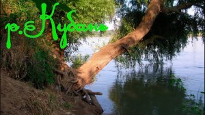 🐟 КУБАНЬ. Ловля подлещика, карася. Иногда ставлю на донки старые отцовские латунные колокольчики