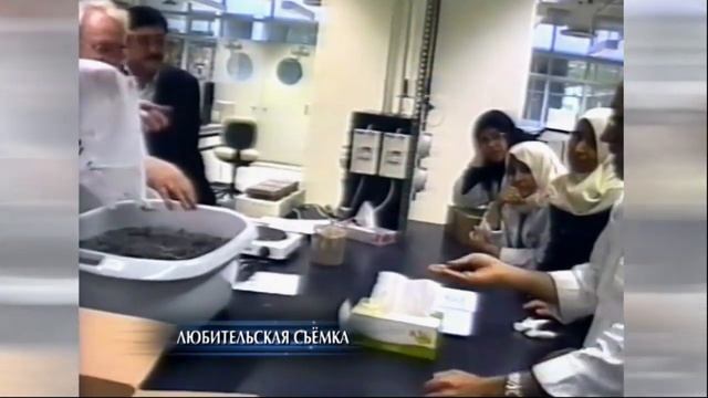 СУПЕР ЭКСПЕРИМЕНТ, СТРУКТУРИРОВАННАЯ ВОДА ! ФИЛЬТР  -  КУВШИН ГРАФ . PERFECT ORGANICS