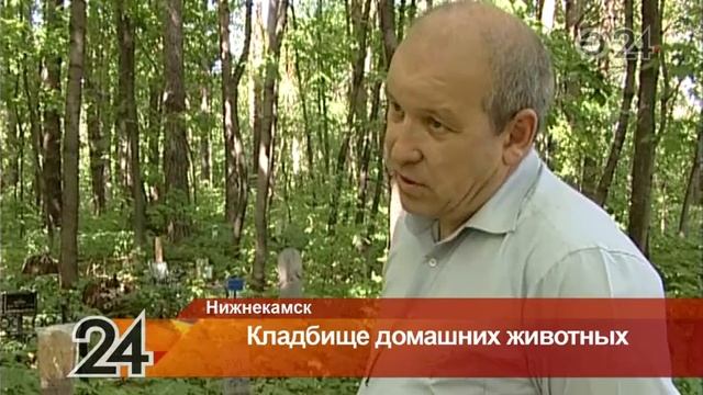 В пригороде Нижнекамска разрастается кладбище домашних животных