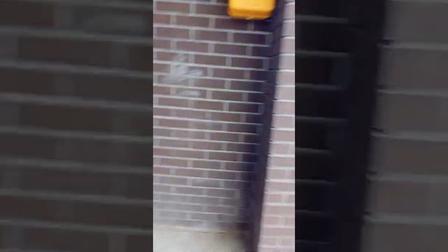 Если что то мы сделаем вам красивую работу в сфере строительства.(5) смотреть онлайн