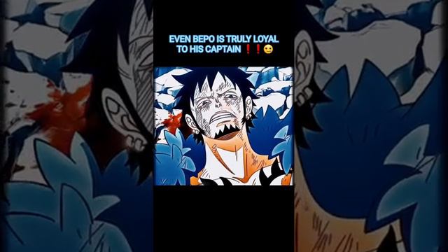 #bepo #law #onepiece #shorts #shortsfeed смотреть онлайн