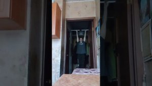 Подтягивания, 50 раз.