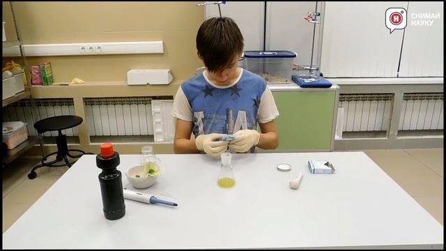 Тест на определение сахара в растении