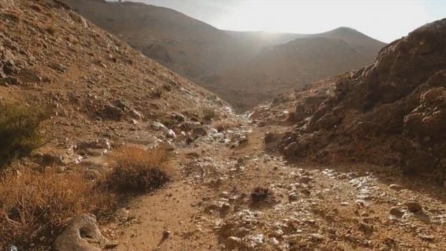 Armand Amar - Terre 432 Hz смотреть онлайн