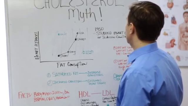 "Плохой" и "хороший" холестерин смотреть онлайн