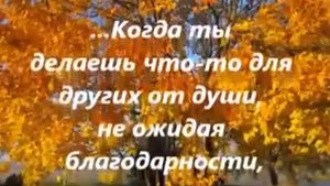 мудрые мысли
