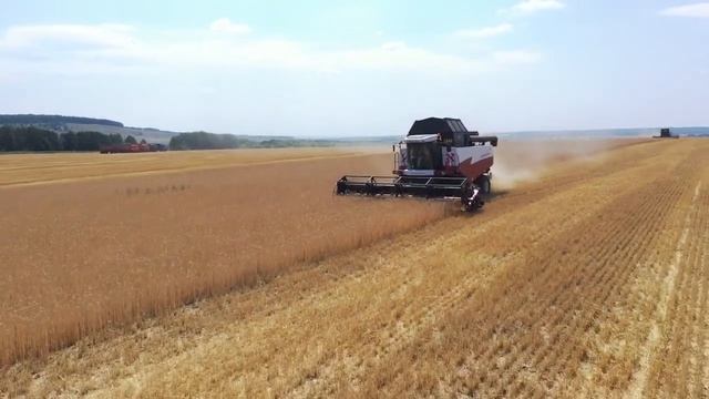 Комбайны Ростсельмаш на уборочной компании 2021 Группы компаний 