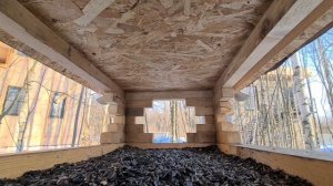 Сойка, синица и воробей прилетают в кормушку поесть семечек зимой