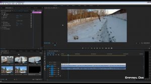 Одновременная цветокоррекция нескольких видеофрагментов в Adobe Premiere Pro CC