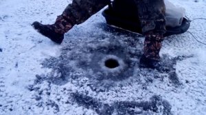 Окунь на блесну (хапугу).