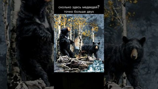 посчитай медведей count the bears #test #puzzles #головоломки #illusions #дляразвития #тесты