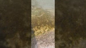 Итоги рыбалки на Матырском водохранилище, ловил на донку и поплавочную удочку!