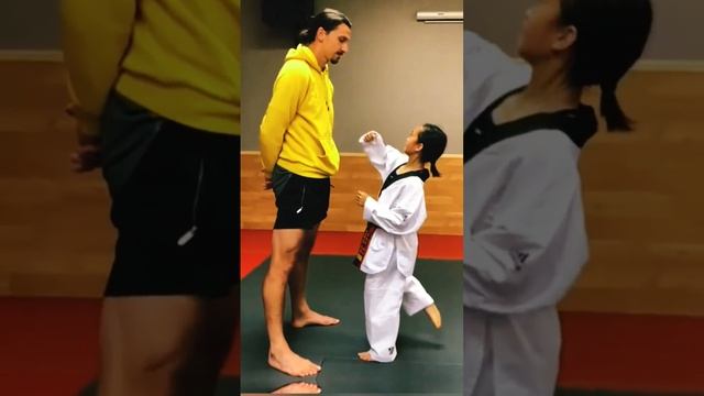 Zlatan Ibrahimovic is practicing taekwondo with his daughter #martialarts