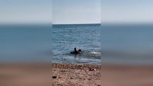 Станица Должанская июль 2020. Азовское море. Чистый и широкий пляж Золотой берег. Кемпинг.