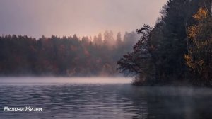 Одинокий богач пожалел голодную женщину с ребёнком и пустил переночевать, а на утро...