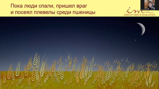 Притча о пшенице и плевелах