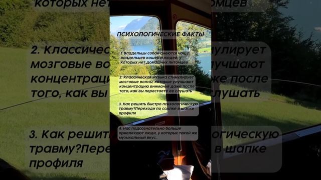 ?КОШКИ ИЛИ СОБАКИ? психологонлайн психология психолог коуч шортс tiktok нейрокоуч отношения