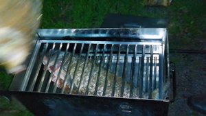 Как закоптить терпуга и сазан горячего копчения. Рыба горячего копчения | ПАПА В ДЕЛЕ