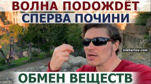 Истощение, ловушка похудения, ГИПОТИРЕОЗ, замедление обмена веществ.Когда Волна Док Ника НЕ Работает