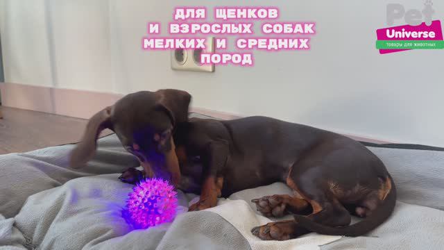 PU3048PK Игрушка для собак Pet Universe Светящийся мячик с шипами, диаметр 6,5 см смотреть онлайн