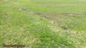 Начало весенне-полевых работ//Кощеевский хуторок.