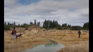 Под Челябинском охотник застрелил собаку на глазах хозяйки