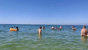 АНАПА. ВИТЯЗЕВО. ДЕЛЬФИНЫ СНОВА около берега. ЛЮДЕЙ не остановить, Центральный пляж