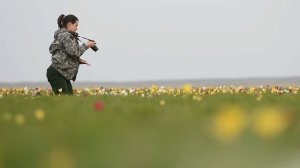 Фанфан-тюльпан