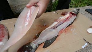 Как сделать филе  из щуки (судака, окуня) за 2 минуты. Способ - огонь! Сможет даже ребенок.