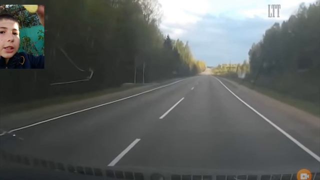 реакция Животные на дороге против МАШИН и ПОЕЗДОВ-(подборка номер 1) смотреть онлайн