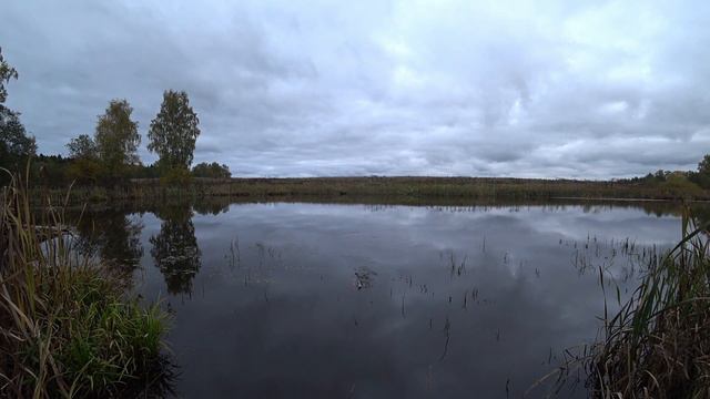 Рыбалка в октябре рыба карась начал потихоньку зарываться