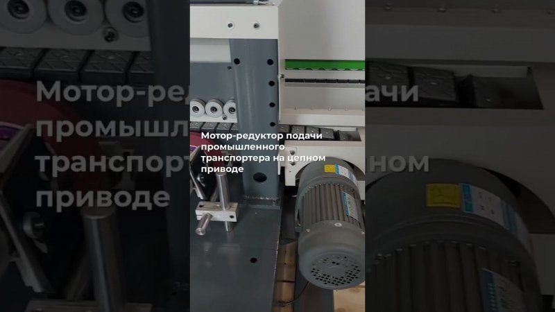 Кромкошлифовальный станок проходного типа с фрезерным узлом DELTAMACHINERY DM-ST-6F