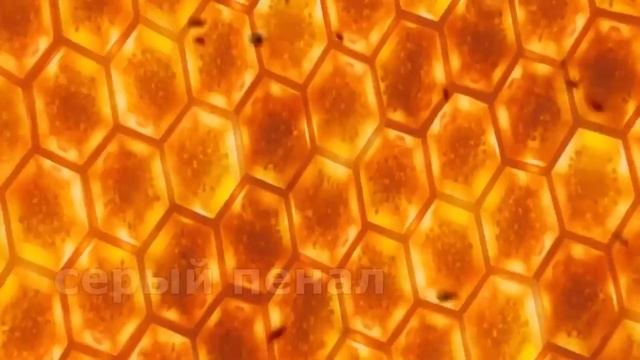 шампунь жумайсынба 10 часов