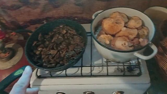 Грибы на зиму для пиццы и не только готовлю летом мой рецепт из СССР. смотреть онлайн