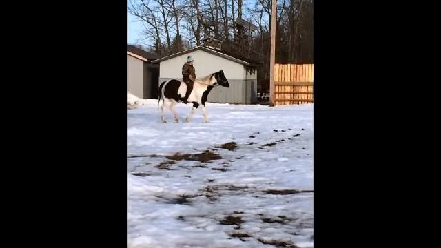 Caddy - Winter Riding смотреть онлайн