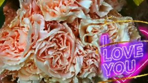 футаж # цветы # сердце# красивый фон# для вашего монтажа и дальнейшего использования, бесплатно..