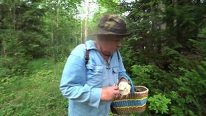 По грибы  3 авг 2021 2 часть