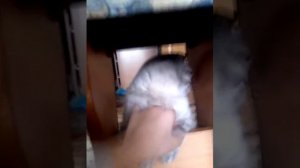 Издевательство над котом!!^_^™.Часть 2.