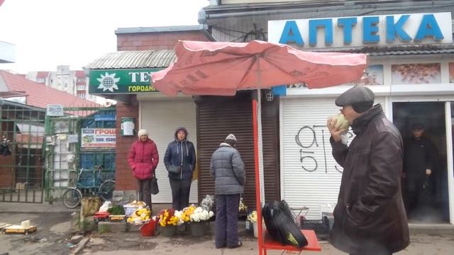 Бедный кролик смотреть онлайн